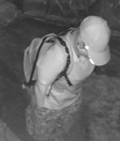 photo of suspect 2