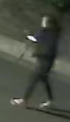 photo of suspect 3