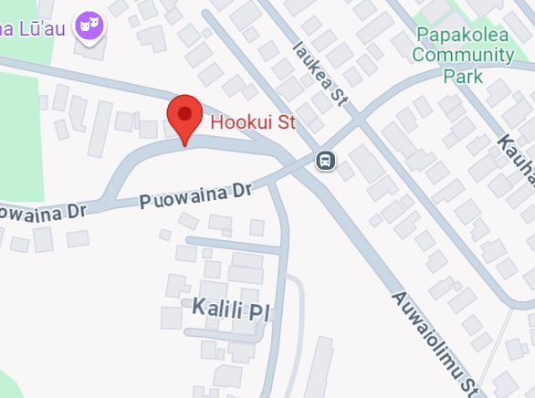 Google Map Picture of Hookui Street and Puowaina Drive