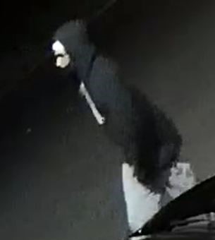 photo of suspect 2