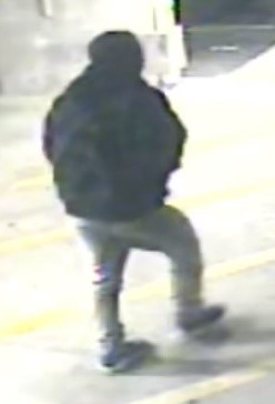 photo of suspect 2