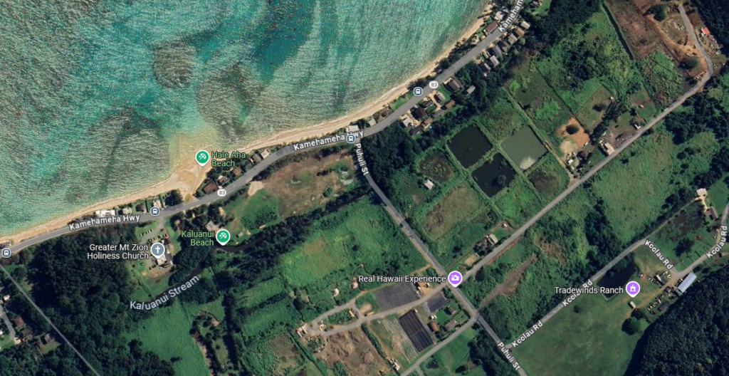 Google Maps image of Kamehameha Highway near Puhuli Street.