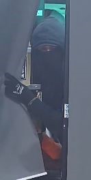 photo of suspect 1